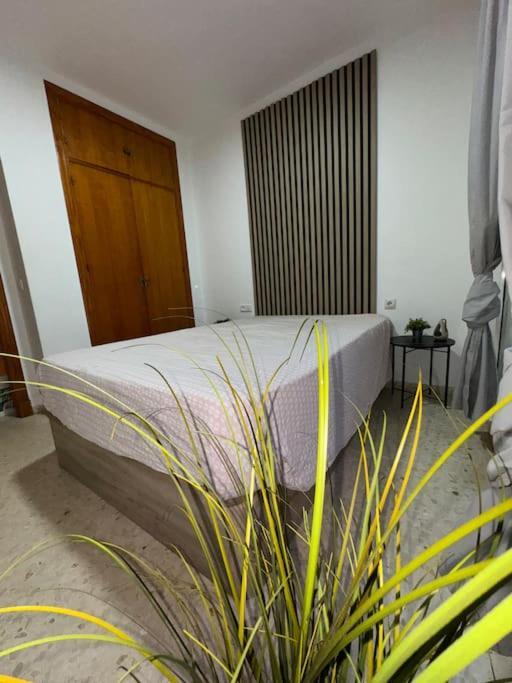 Apartamento Del Sur El Puerto de Santa Maria Luaran gambar